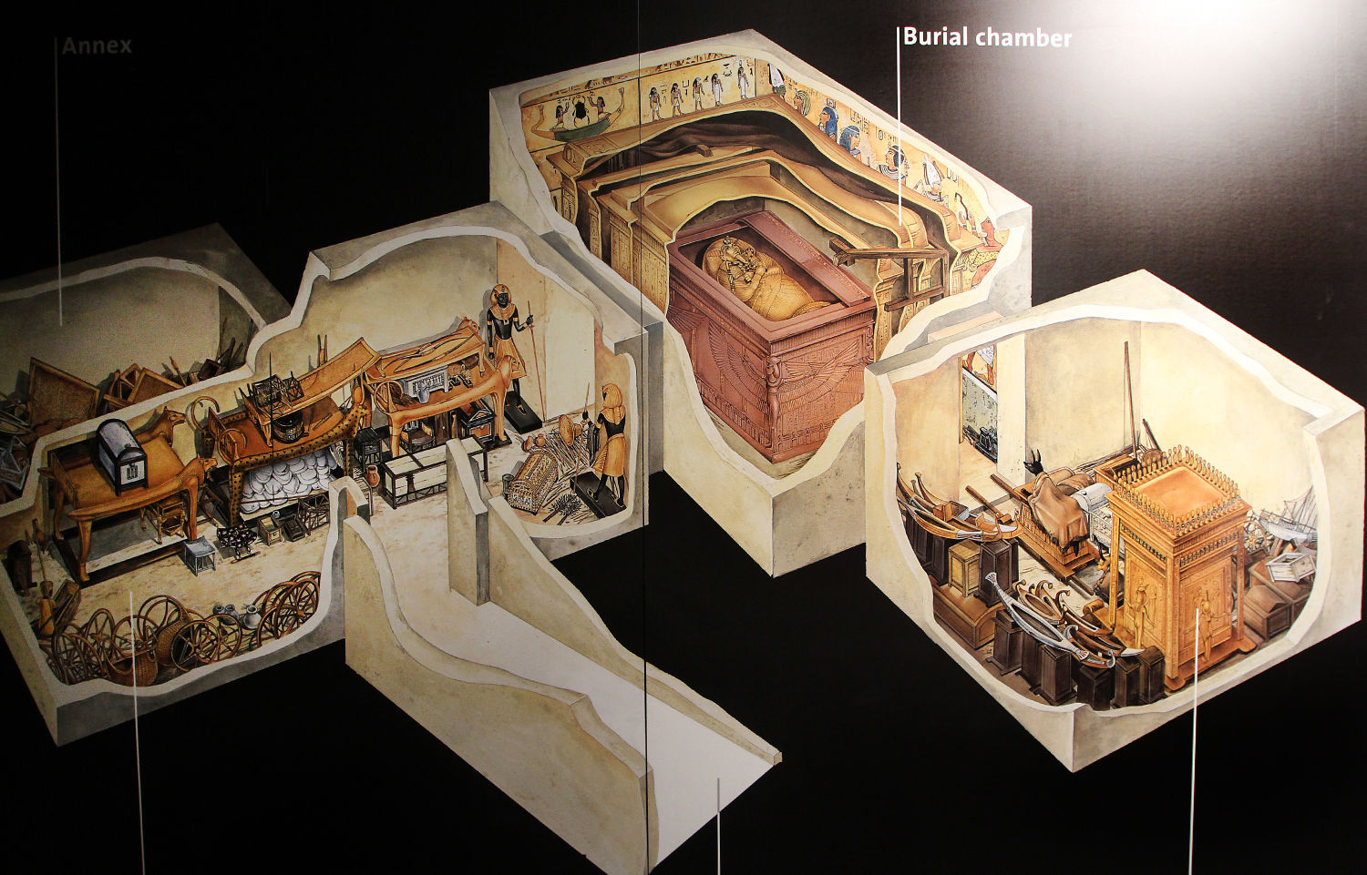 The Discovery of King Tut